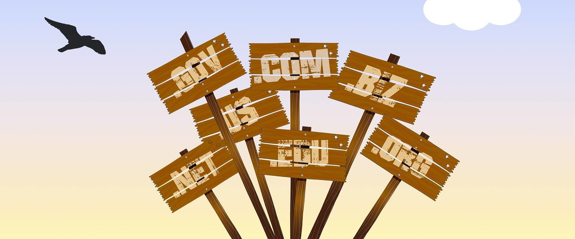 Do I Need to Buy Website Hosting if I Have a Domain Name?