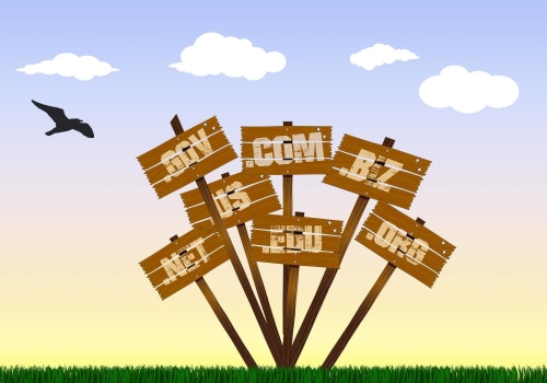 Do I Need to Buy Website Hosting if I Have a Domain Name?